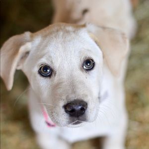 Meet your Posher, Mary cate